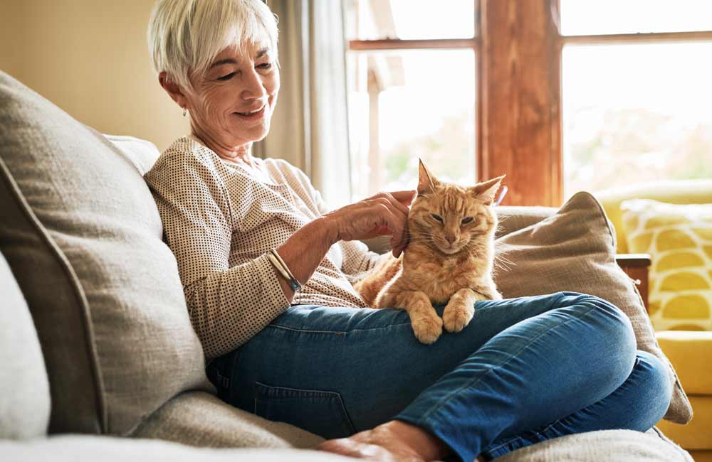 memory-care-floorplans Elderly woman sitting on a couch with a cat on her lap by a window with natural light.